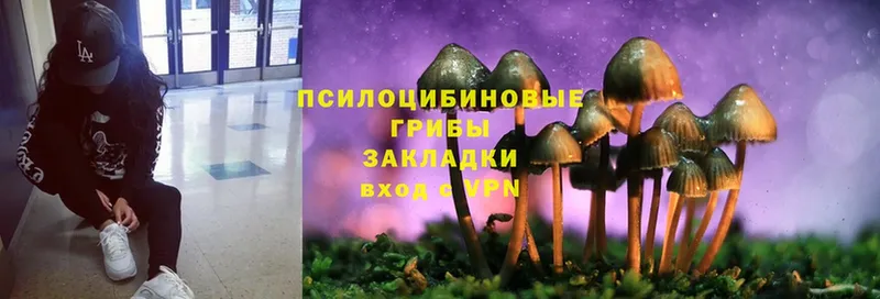 МЕГА как зайти  мориарти клад  Галлюциногенные грибы Cubensis  Тара 